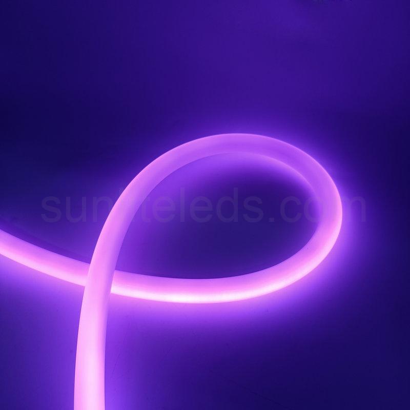 22mm Controllable Neon Tube 360 Degree