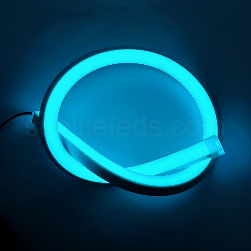 Controllable RGBW Neon LED