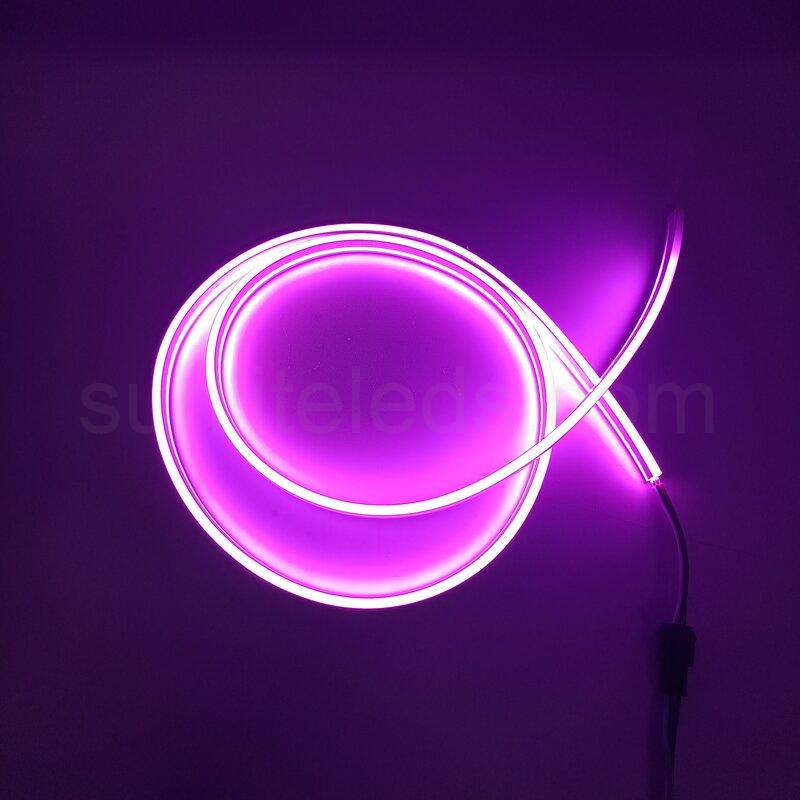 Petite 4x8mm LED Neon with Digital Control